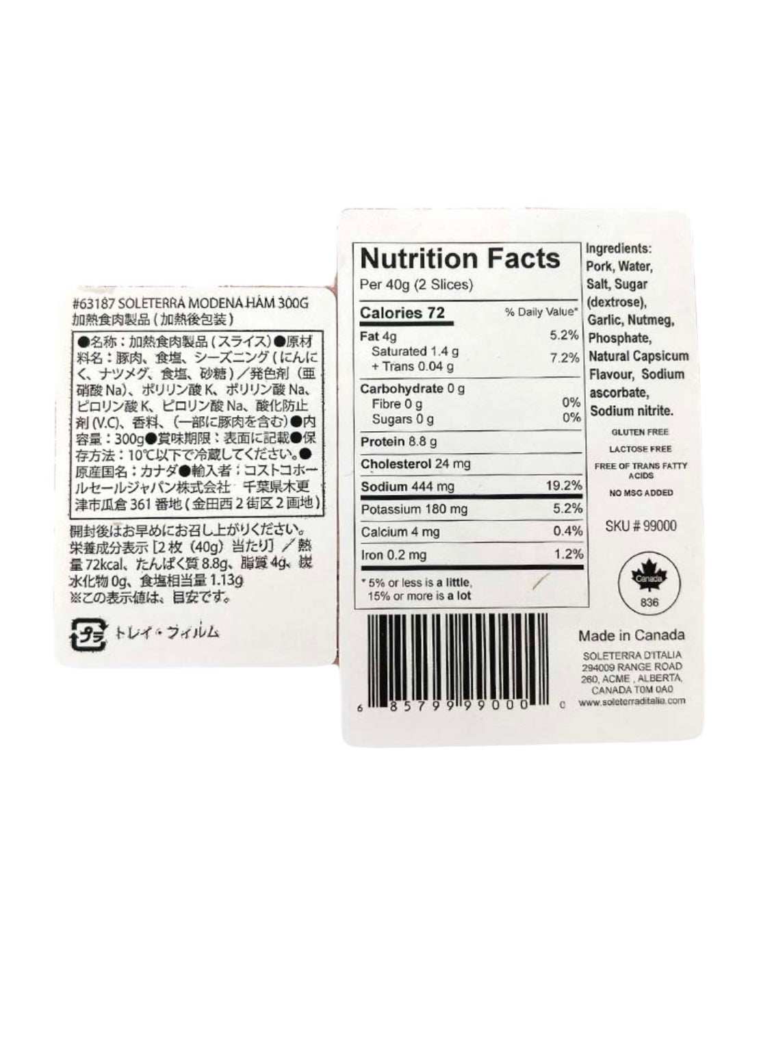 ソルテラ モデナハム