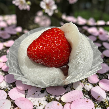 【冷蔵スイーツ】《期間限定》いちご大福 9個入り コストコベーカリー商品