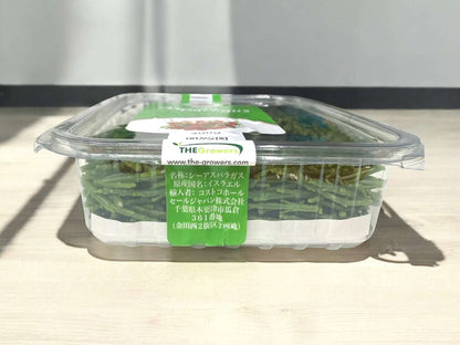 【冷蔵商品】シーアスパラガス 300g サリコルニア PRODUCT OF ISRAEL SEA ASPARAGUS