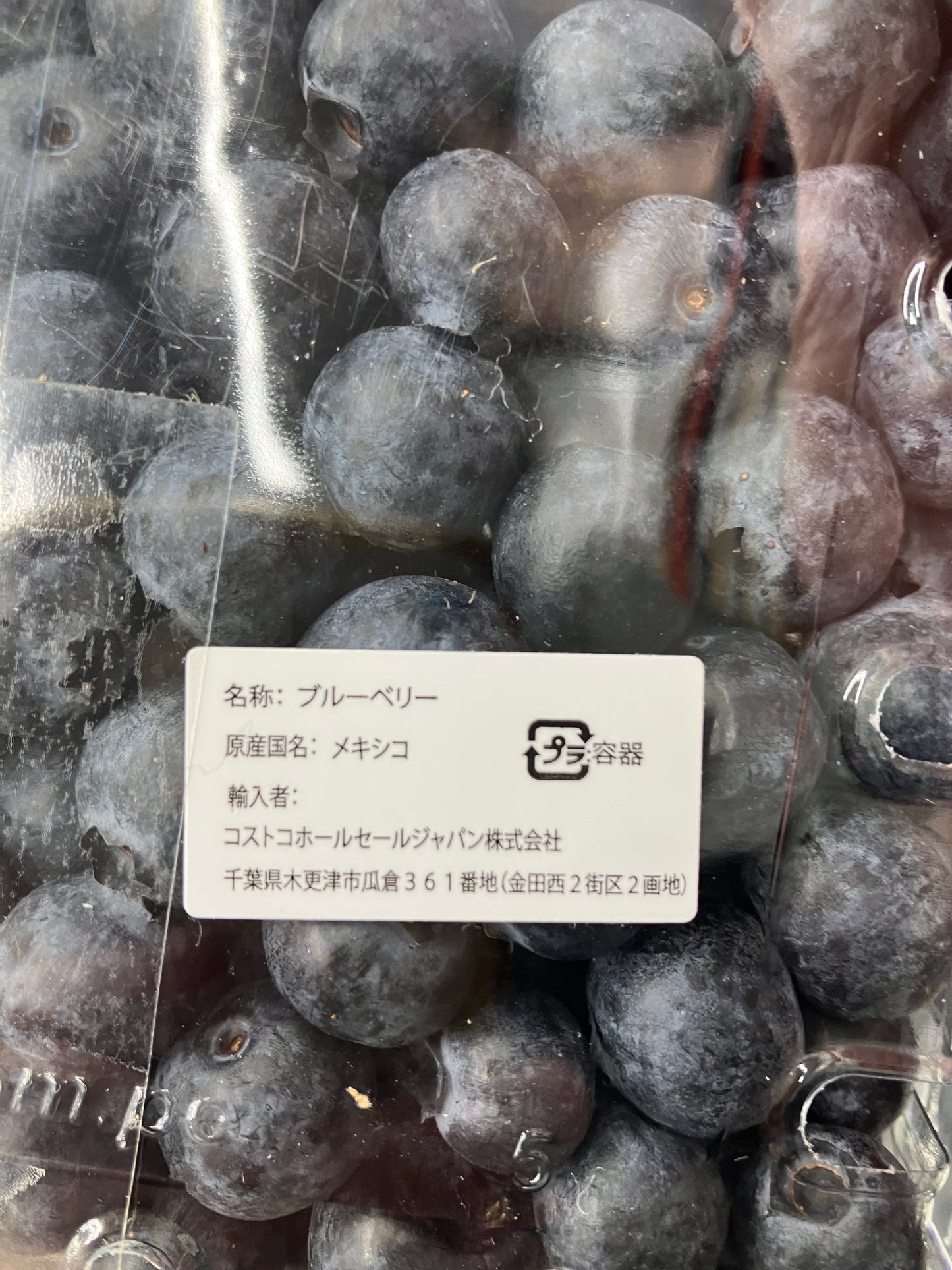 【果物】ブルーベリー 510g  パック 大容量