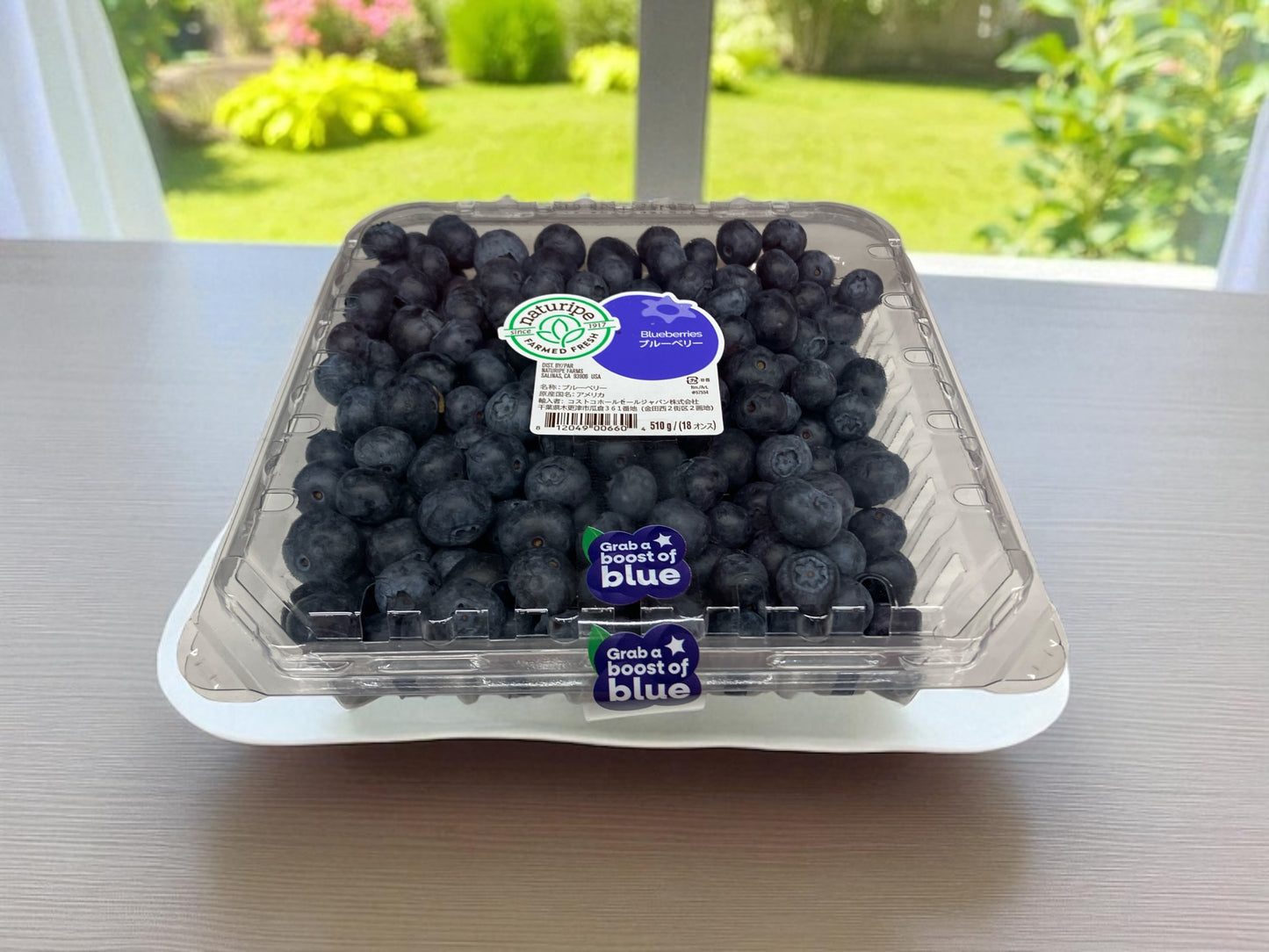 【冷蔵商品】生 ブルーベリー  510g  アメリカ産  naturipe farm