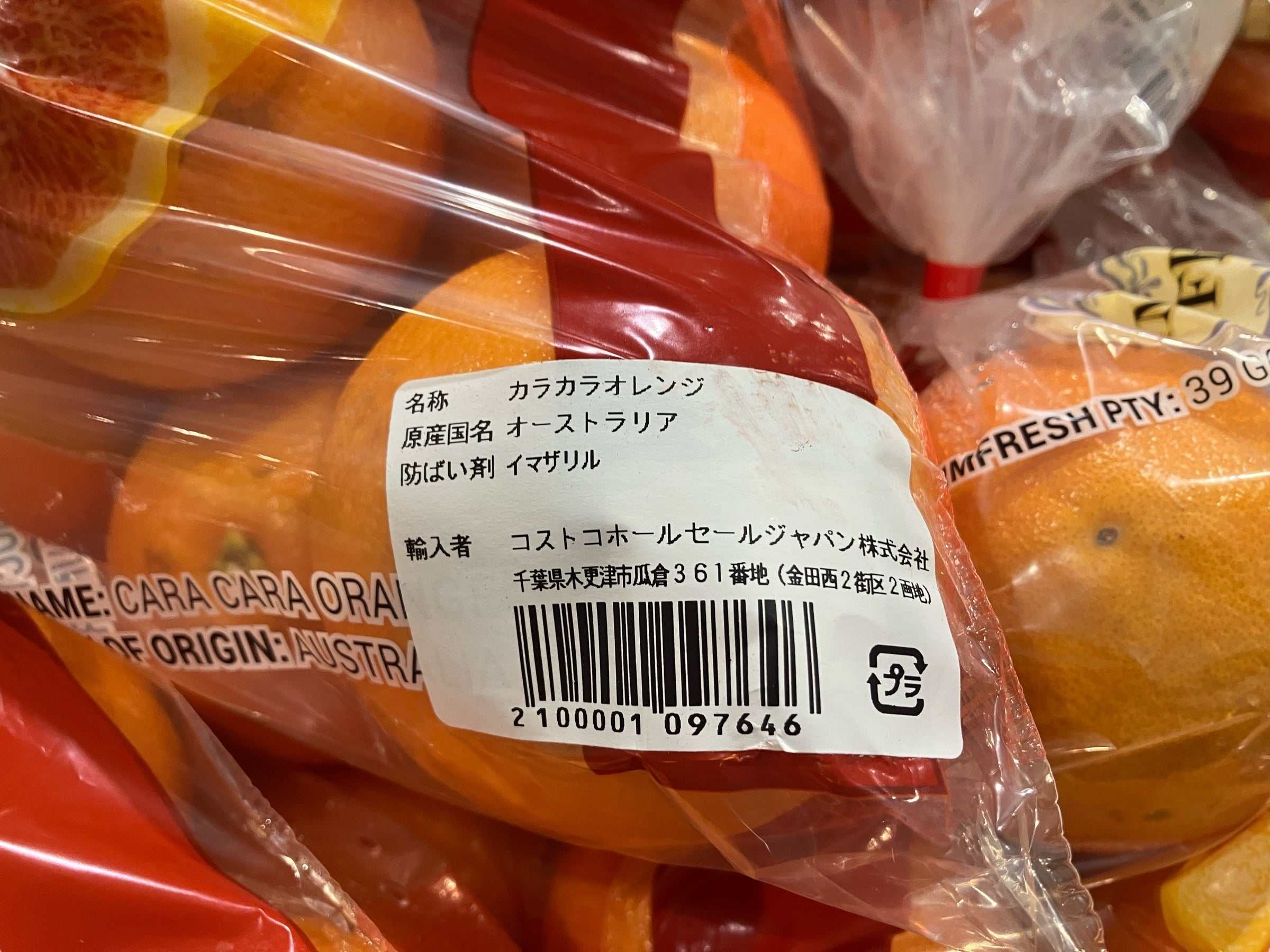 果物】カラカラオレンジ 2.27kg オレンジ – KOCOSTORE（ココストア）