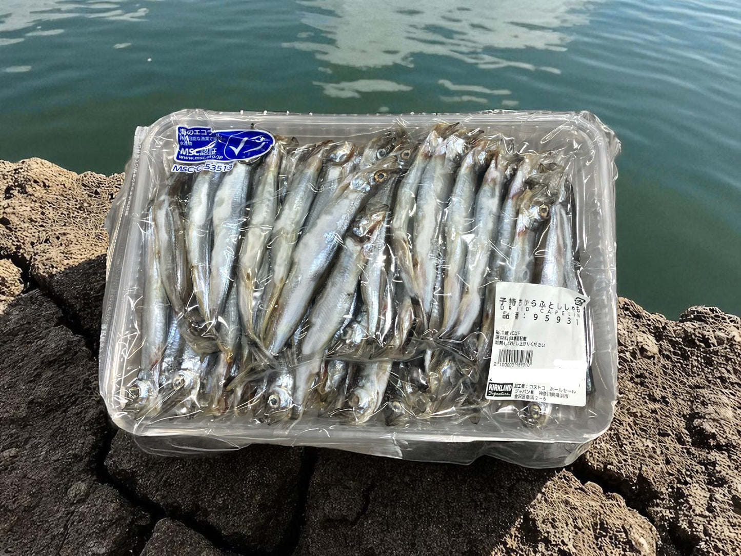 【冷蔵商品】子持ちからふとししゃも　1kg