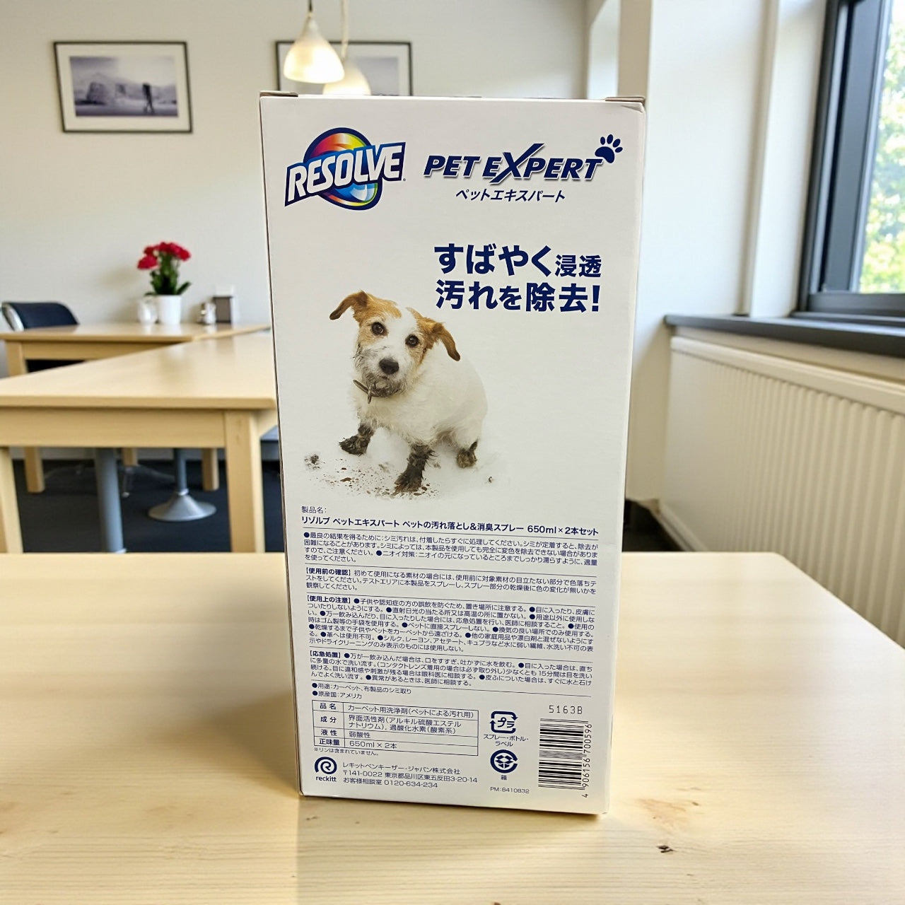 リゾルブ ペット用 消臭スプレー 汚れ落とし 650ml x 2本  RESOLVE