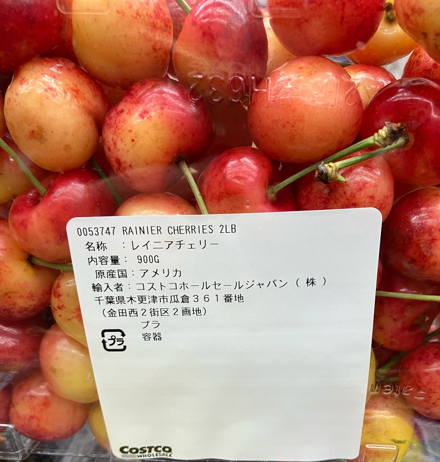 【果物 冷蔵商品】《期間限定》レイニアチェリー 900g  幻のさくらんぼ  RAINIER CHERRIES 2026年